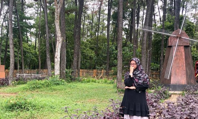 punti kayu buka jam berapa?, Dekat Pusat Kota, Deskripsi Singkat , Aktifitas Menarik , Harga Tiket Masuk , Fasilitas Yang Ada