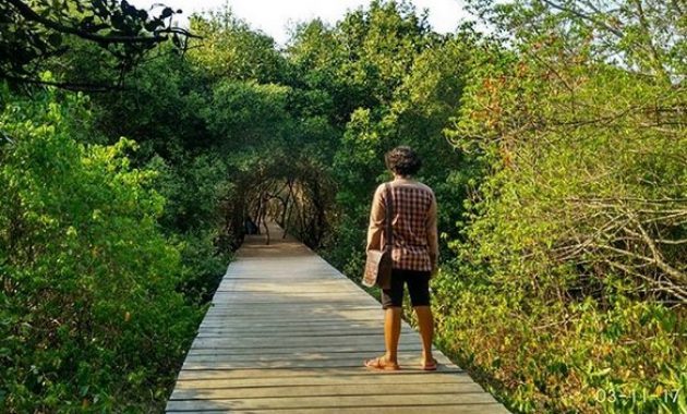ragam keindahan dan kisah pantai glagah wangi di pesisir demak, berapa harga tiket masuknya?, Rute Menuju Lokasi, Tak Ada Biaya Tiket Masuk, Kisah Mistis, Sisi Lain Pantai