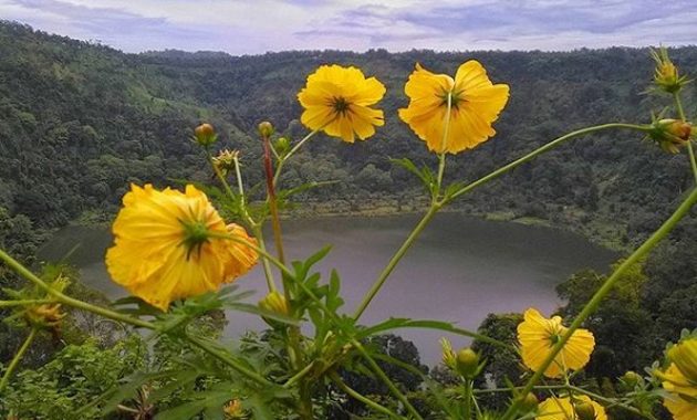 ranu bedali, wisata indah yang belum terkenal milik kota lumajang