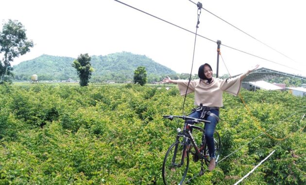 rasakan sensasi keliling dunia dalam sehari, hanya di negeri dongeng blitar, Harga Tiket Masuk, Jalan Menuju Lokasi, Fasilitas, Spot Foto &amp; Wahana, Pesona Negeri Dongeng