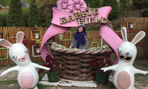 rumah hobbit malang buka jam berapa?, Keindahan Alam, Menarik dan Lucu, Harga Tiket Masuk, Fasilitas Yang Ada, Rute Menuju Lokasi