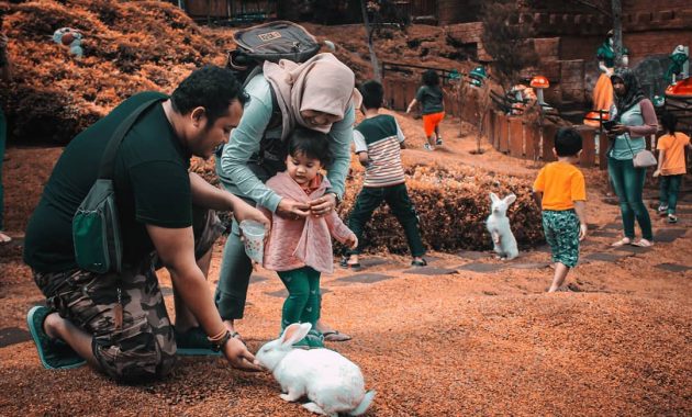 rumah hobbit malang buka jam berapa?, Keindahan Alam, Menarik dan Lucu, Harga Tiket Masuk, Fasilitas Yang Ada, Rute Menuju Lokasi