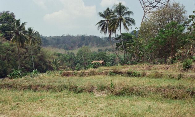 rute akses ke penangkaran rusa cariu bogor naik motor, bisakah?
