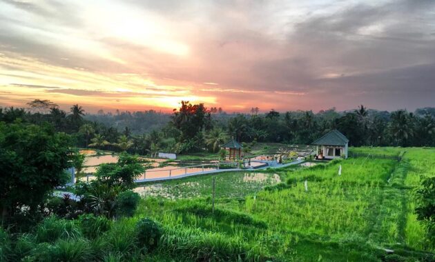 sari organik ubud bali