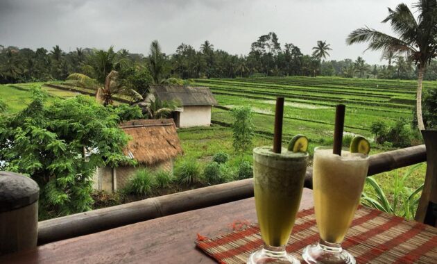 sari organik ubud bali