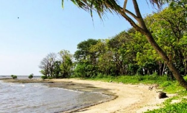 selain losari, ini daftar pantai di makassar yang akan bikin kamu pengen balik lagi