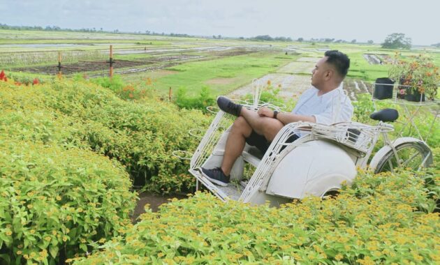 serunya berswafoto ditengah hamparan bunga warna warni resoinangun garden, Harga Tiket Masuk, Jalan Menuju Lokasi, Fasilitas, Spot Foto Instagramable, Pesona Resoinangun Garden