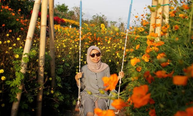 serunya berswafoto ditengah hamparan bunga warna warni resoinangun garden, Harga Tiket Masuk, Jalan Menuju Lokasi, Fasilitas, Spot Foto Instagramable, Pesona Resoinangun Garden