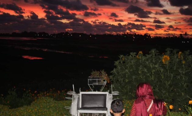 serunya berswafoto ditengah hamparan bunga warna warni resoinangun garden, Harga Tiket Masuk, Jalan Menuju Lokasi, Fasilitas, Spot Foto Instagramable, Pesona Resoinangun Garden