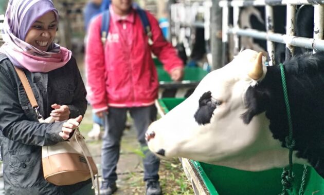 serunya plerisan bareng keluarga di cimory riverside, kepoin harga menunya dulu yuk!