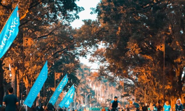 serunya sunmor di ijen boulevard malang, dari kulineran sampai foto foto, Harga Tiket Masuk, Jalan Menuju Lokasi, Fasilitas, Sekilas Ijen Boulevard, Pesona Ijen Boulevard