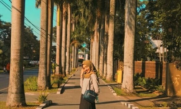 serunya sunmor di ijen boulevard malang, dari kulineran sampai foto foto, Harga Tiket Masuk, Jalan Menuju Lokasi, Fasilitas, Sekilas Ijen Boulevard, Pesona Ijen Boulevard