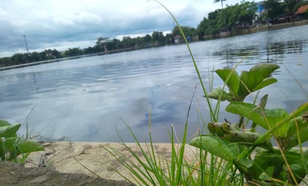 situ cilodong, piknik murah meriah, Banyak Danau, Keindahan Potensi, Rute Menuju Lokasi, Jam Buka, Harga Tiket Masuk