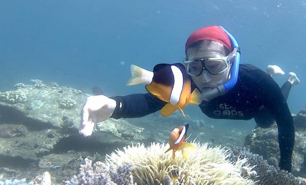 snorkeling di pantai bangsring, Banyak Pilihan, Keindahan Potensi, Rute Menuju Lokasi, Buka Jam Berapa, Harga Tiket Masuk