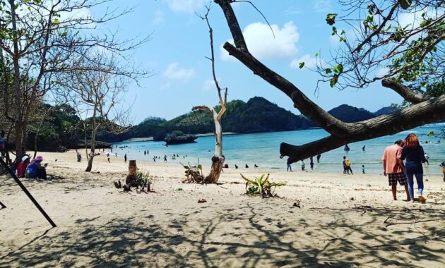 spot cantik pantai teluk asmara untuk sunset time di malang dan bagaimana jalan menuju lokasi?