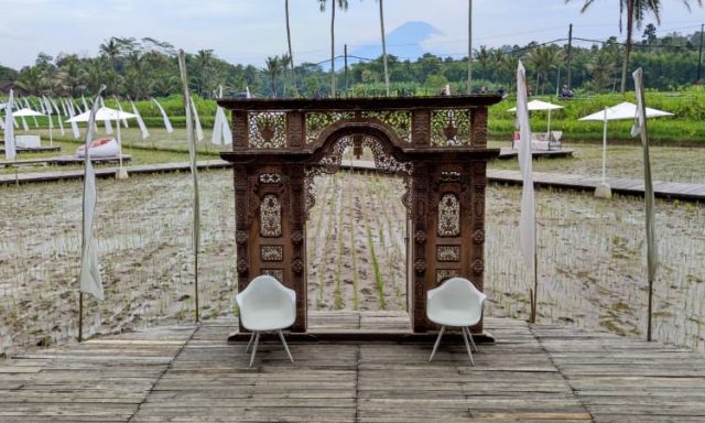 svargabumi borobudur, wisata hits dengan pesona persawahan nan hijau di magelang