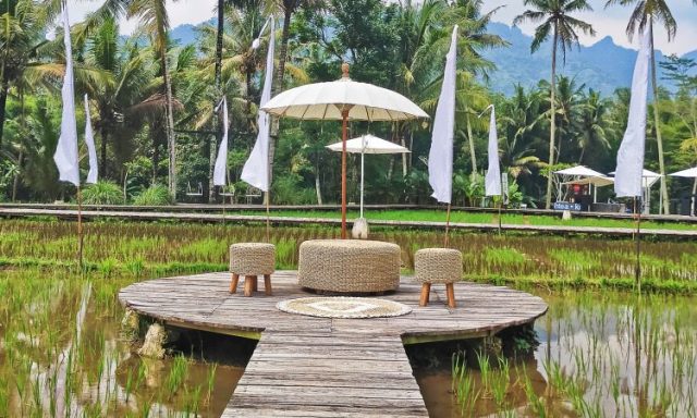 svargabumi borobudur, wisata hits dengan pesona persawahan nan hijau di magelang