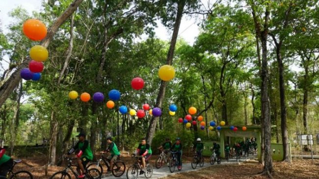 harga tiket masuk tahura bunder, permainan tahura bunder, rute menuju tahura bunder, tahura bunder, tiket masuk tahura bunder, tiket tahura bunder, wahana tahura bunder, tahura bunder nan asri: harga tiket, daya tarik, aktivitas seru dll