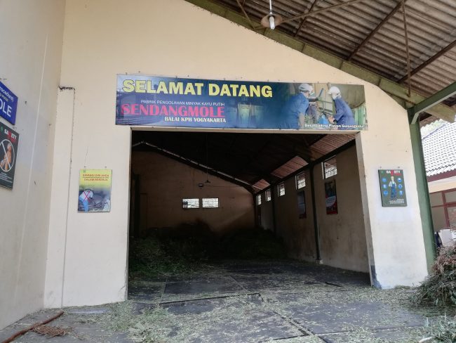 harga tiket masuk tahura bunder, permainan tahura bunder, rute menuju tahura bunder, tahura bunder, tiket masuk tahura bunder, tiket tahura bunder, wahana tahura bunder, tahura bunder nan asri: harga tiket, daya tarik, aktivitas seru dll