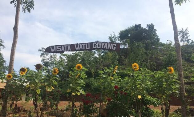 tak hanya cantik, 10 kebun bunga matahari di indonesia ini instagenic banget