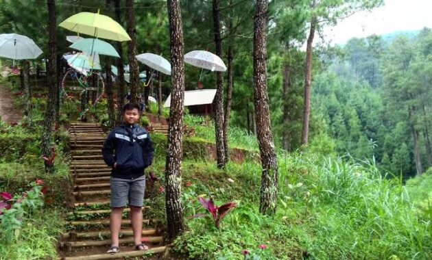 Tak Hanya Cina, Indonesia Juga Punya 7 Spot Bukit Pelangi Yang Instagenic
