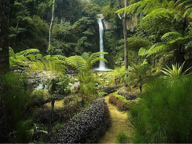 tak seperti namanya, coban jahe malang bukanlah air terjun yang dipenuhi dengan banyak tanaman jahe, Mengenal Sekilas , Rute Menuju Lokasi, Keindahan dan Segarnya Air , Air Terjun Lain Terdekat 