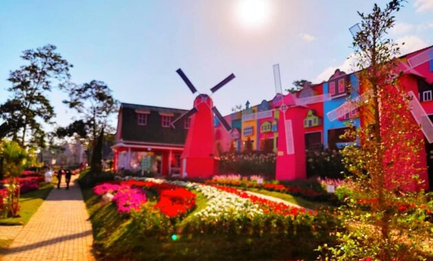taman bunga celosia bandungan, wisata dengan segudang spot foto instagenic, Harga Tiket Masuk, Jalan Menuju Lokasi, Fasilitas, Spot Foto Instagramable, Pesona Taman Bunga Celosia