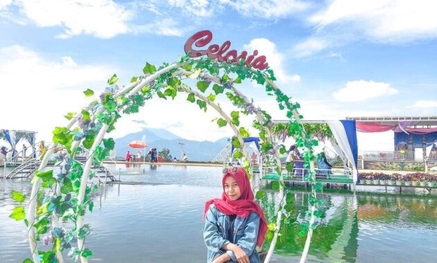 Taman Bunga Celosia Bandungan, Wisata Dengan Segudang Spot Foto Instagenic