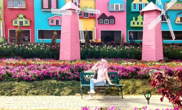 taman bunga celosia bandungan, wisata dengan segudang spot foto instagenic, Harga Tiket Masuk, Jalan Menuju Lokasi, Fasilitas, Spot Foto Instagramable, Pesona Taman Bunga Celosia