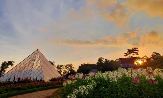 taman bunga celosia bandungan, wisata dengan segudang spot foto instagenic, Harga Tiket Masuk, Jalan Menuju Lokasi, Fasilitas, Spot Foto Instagramable, Pesona Taman Bunga Celosia