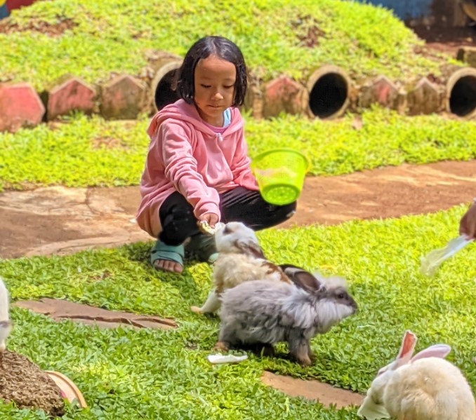 alamat taman bunga cibubur, fasilitas taman bunga cibubur, harga tiket masuk taman bunga cibubur, harga tiket taman bunga cibubur, lokasi taman bunga cibubur, rekreasi taman bunga cibubur, taman bunga cibubur, taman bunga wiladatika cibubur, harga tiket, wahana, fasilitas, daya tarik dll