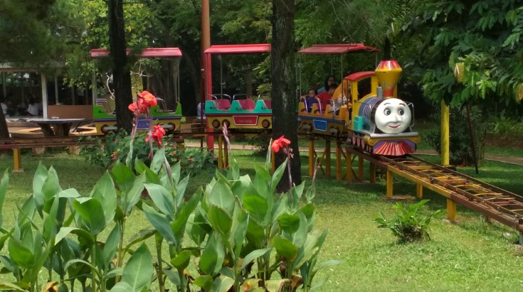 alamat taman bunga cibubur, fasilitas taman bunga cibubur, harga tiket masuk taman bunga cibubur, harga tiket taman bunga cibubur, lokasi taman bunga cibubur, rekreasi taman bunga cibubur, taman bunga cibubur, taman bunga wiladatika cibubur, harga tiket, wahana, fasilitas, daya tarik dll