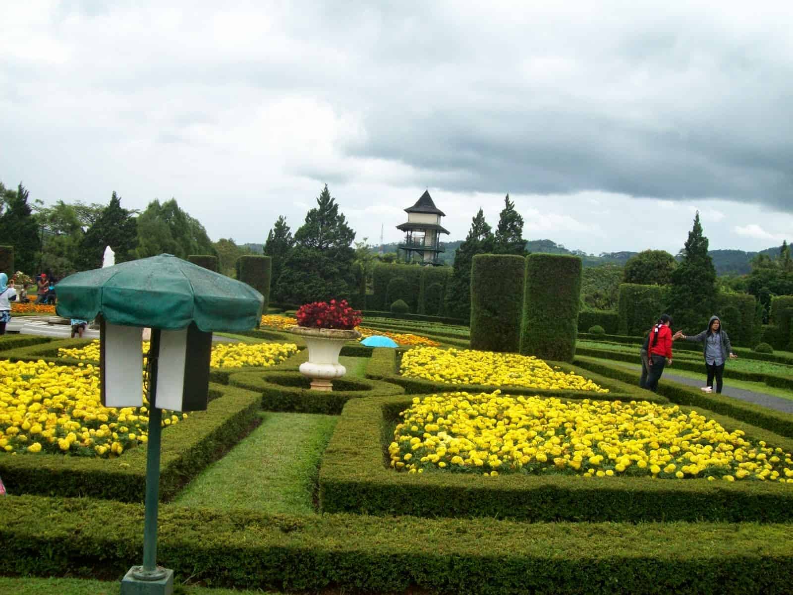 alamat taman bunga cibubur, fasilitas taman bunga cibubur, harga tiket masuk taman bunga cibubur, harga tiket taman bunga cibubur, lokasi taman bunga cibubur, rekreasi taman bunga cibubur, taman bunga cibubur, taman bunga wiladatika cibubur, harga tiket, wahana, fasilitas, daya tarik dll