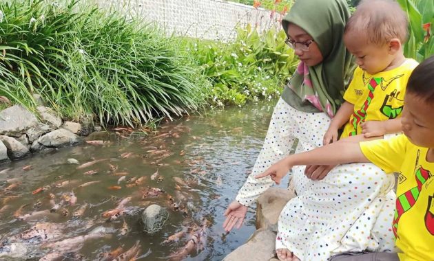 taman hijau slg, Harga Tiket Masuk, Tidak Asing Lagi, Keindahan Potensi, Jalan Menuju Lokasi, Buka Jam Berapa