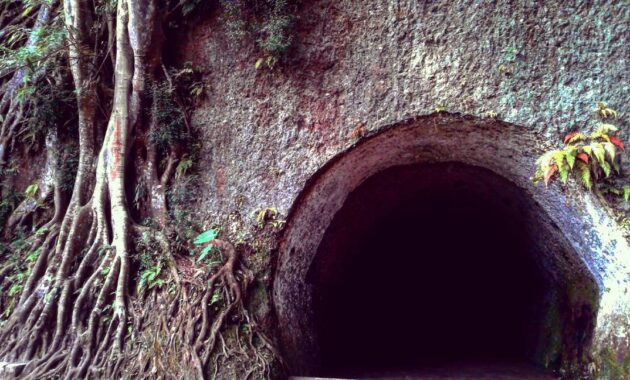 taman hutan raya ir h djuanda bandung