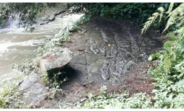 taman hutan raya ir h djuanda bandung