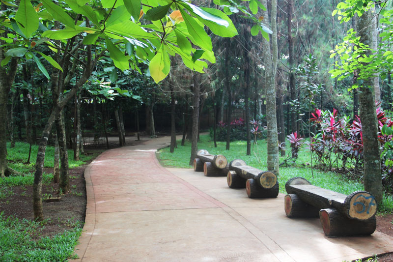 Taman Kota BSD, Tempat Liburan Seru & Asri di Tengah Kota Tangerang!