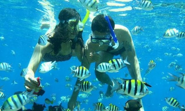 taman laut olele, surga tersembunyi di gorontalo