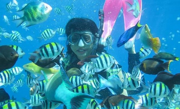Taman Laut Olele, Surga Tersembunyi di Gorontalo