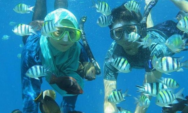 taman laut olele, surga tersembunyi di gorontalo