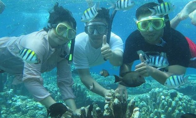 taman laut olele, surga tersembunyi di gorontalo