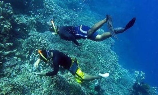taman laut olele, surga tersembunyi di gorontalo