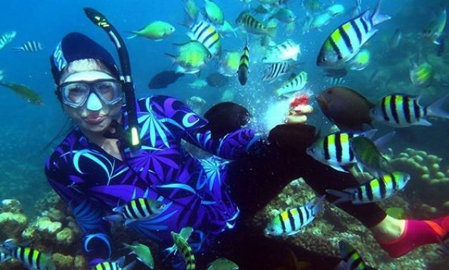 taman laut olele, surga tersembunyi di gorontalo
