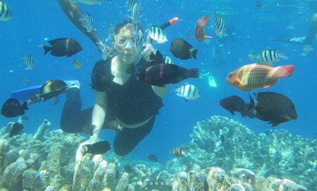 taman laut olele, surga tersembunyi di gorontalo