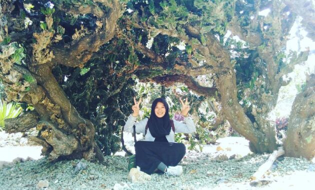 taman meksiko kebun raya bogor, Harga Tiket Masuk, Berbeda Dari Biasanya, Asal Usul Nama , Keindahan Alam, Letak Lokasi