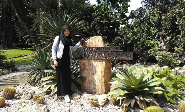 taman meksiko kebun raya bogor, Harga Tiket Masuk, Berbeda Dari Biasanya, Asal Usul Nama , Keindahan Alam, Letak Lokasi
