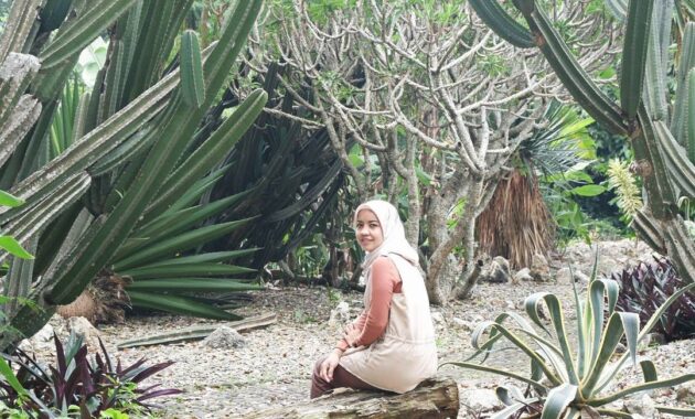 taman meksiko kebun raya bogor, Harga Tiket Masuk, Berbeda Dari Biasanya, Asal Usul Nama , Keindahan Alam, Letak Lokasi