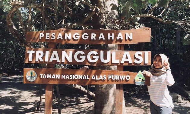 taman nasional alas purwo, Ujung Timur Jawa, Keindahan Potensi, Jalan Menuju Lokasi, Buka Jam Berapa, Harga Tiket Masuk