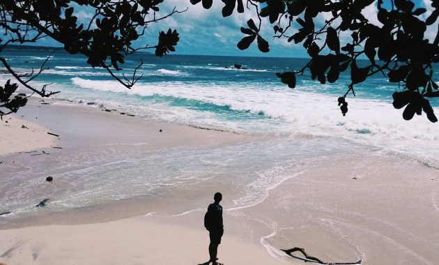 taman nasional alas purwo, Ujung Timur Jawa, Keindahan Potensi, Jalan Menuju Lokasi, Buka Jam Berapa, Harga Tiket Masuk