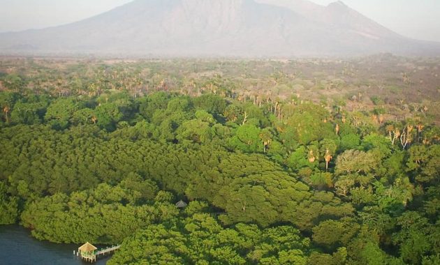 taman nasional baluran